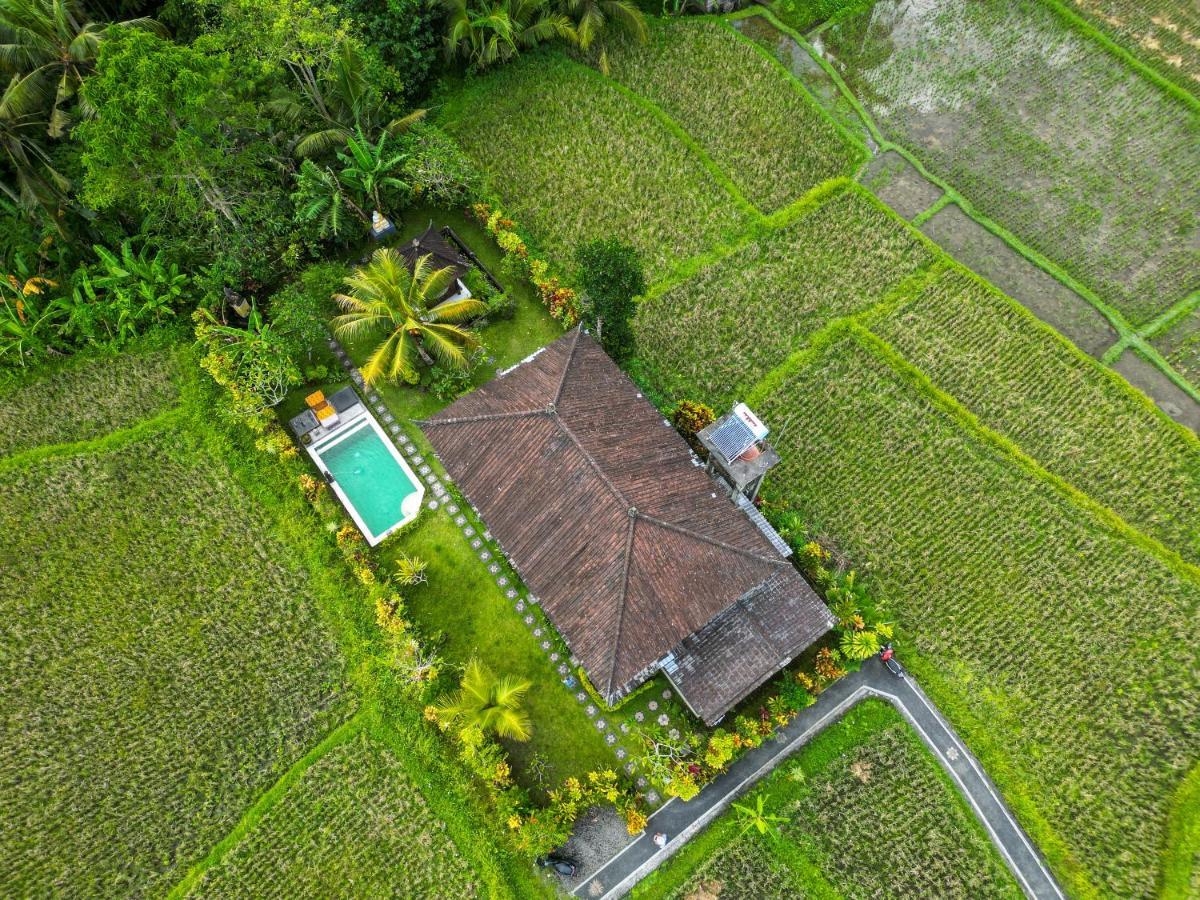 Buddha Homestay Ubud  Exterior photo